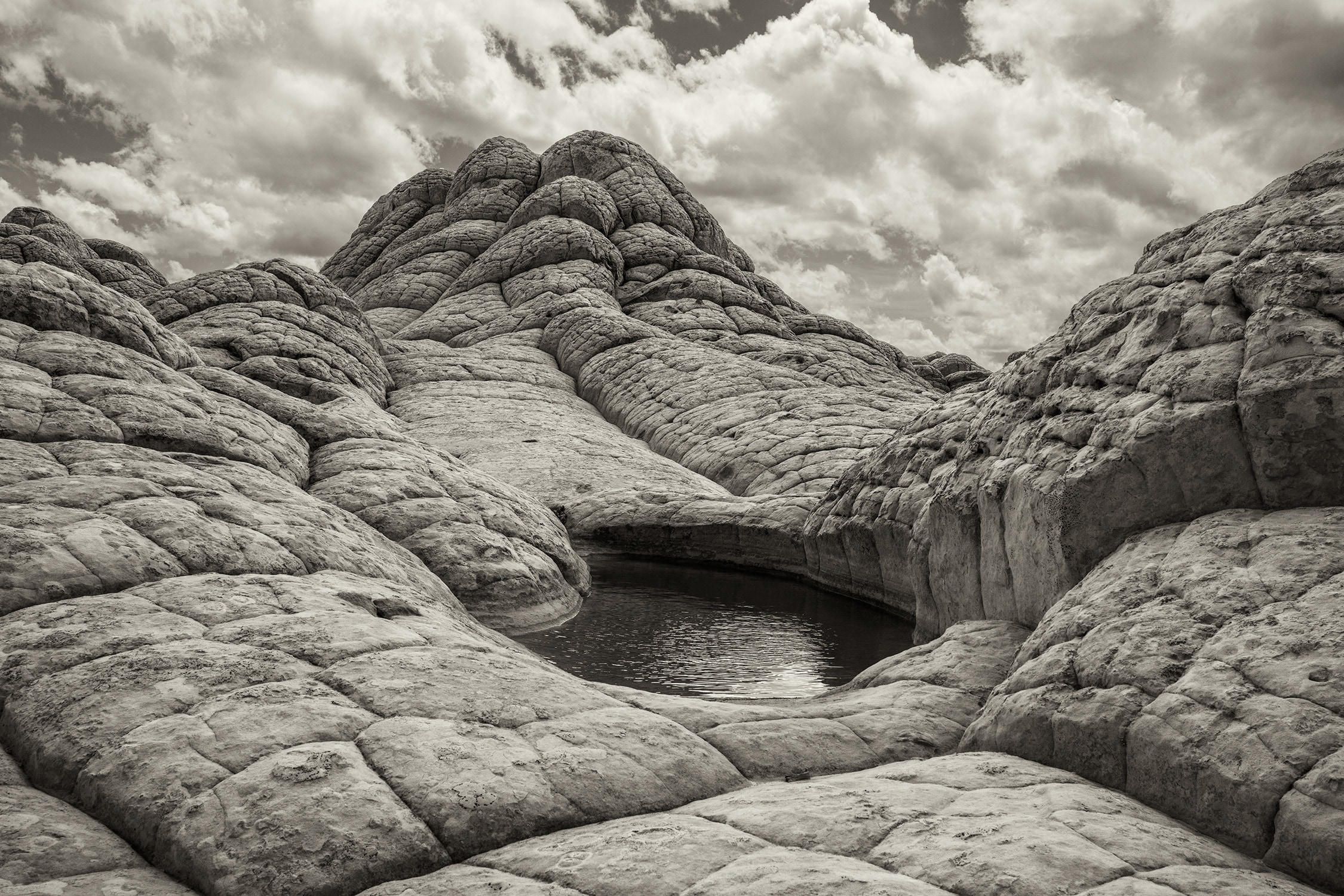 Tenaja, White Pocket, Arizona